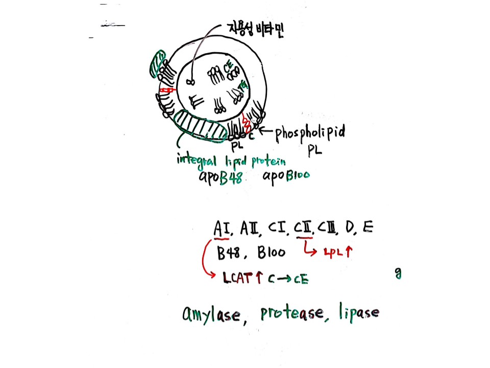 슬라이드4.JPG