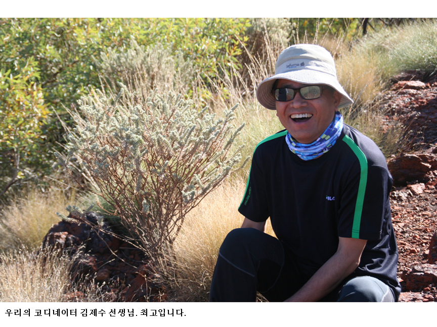 슬라이드43.PNG