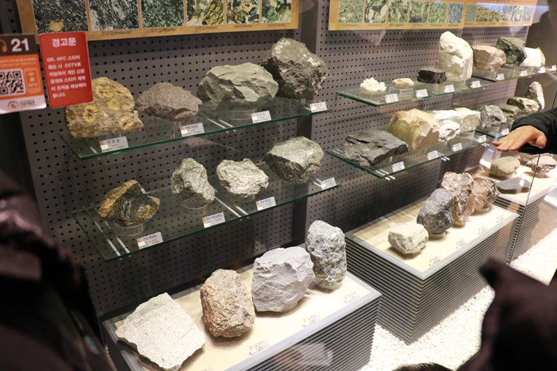 023-20181218-114801.JPG