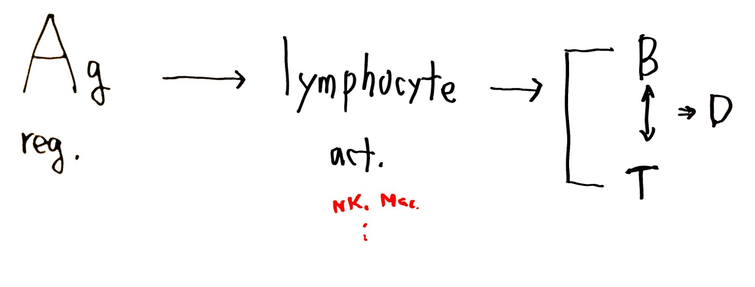 그림1.jpg