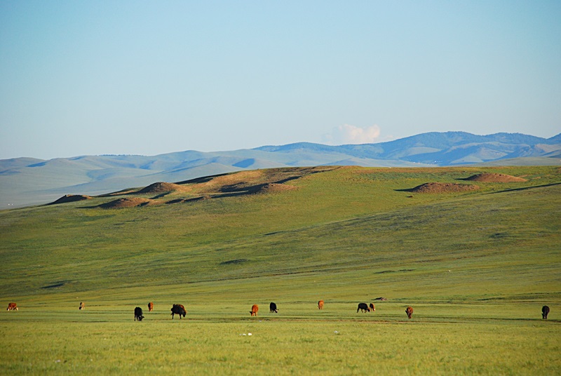 DSC_0227.JPG