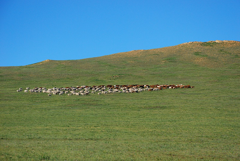DSC_0268.JPG