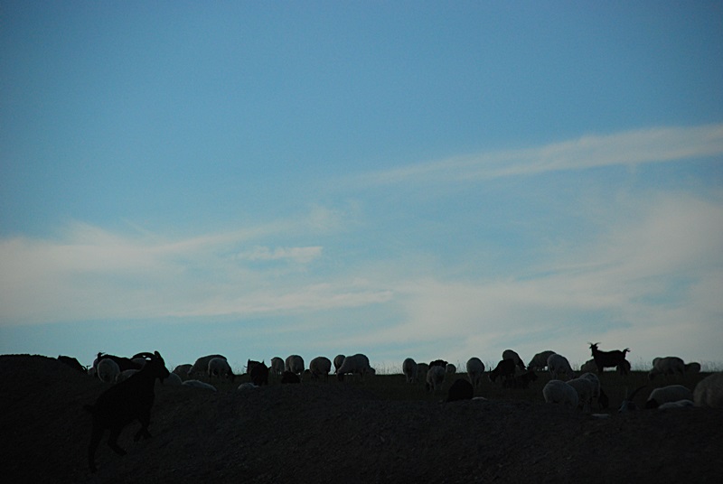 DSC_0432.JPG