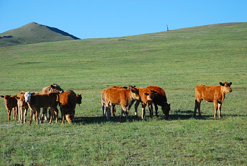 DSC_0280.JPG