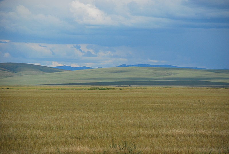 DSC_0408.JPG