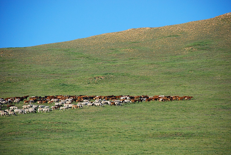 DSC_0266.JPG
