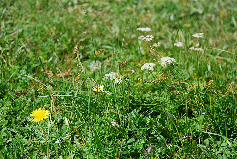 DSC_0389.JPG
