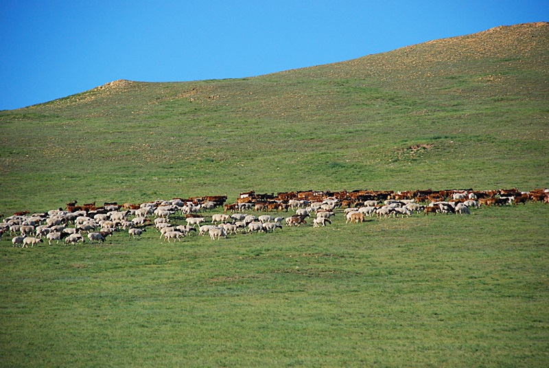 DSC_0265.JPG