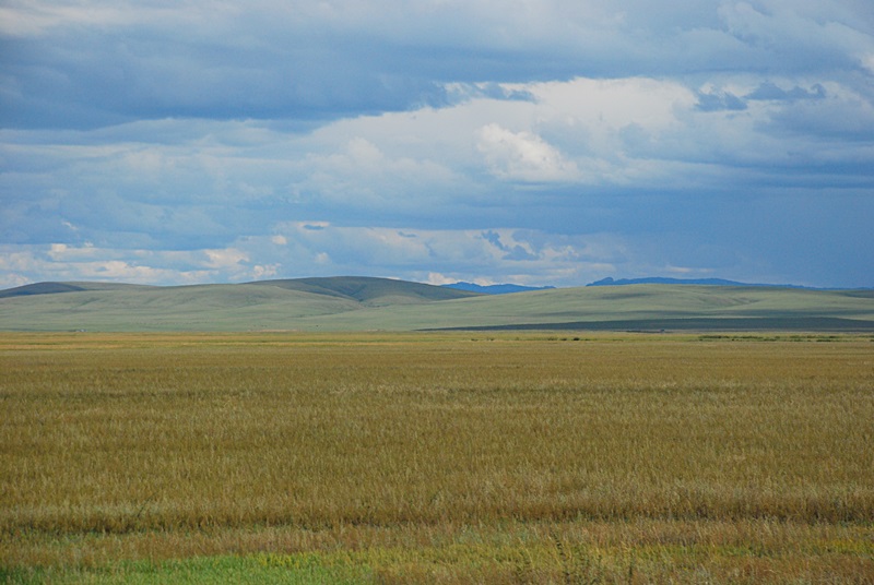 DSC_0407.JPG