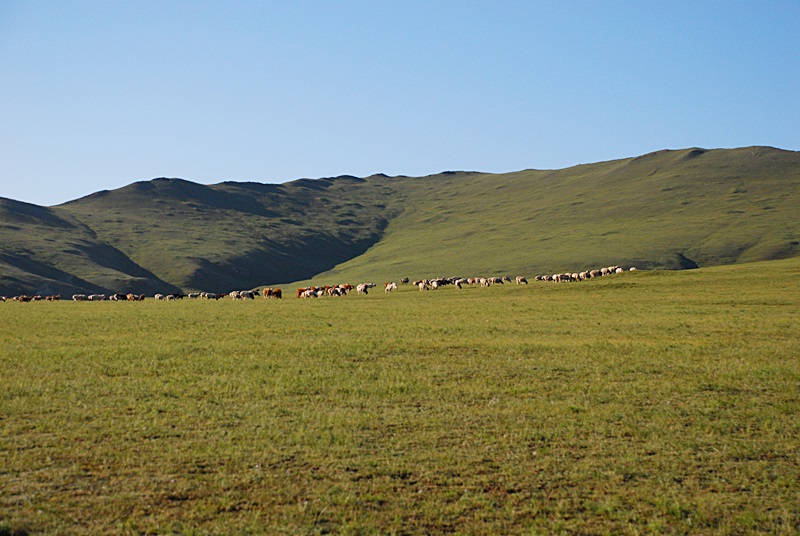 DSC_0264.JPG