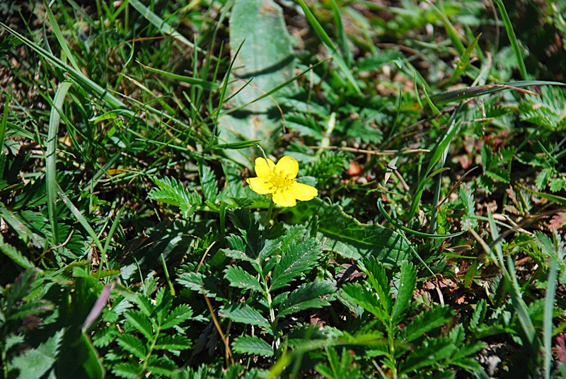 DSC_0384.JPG