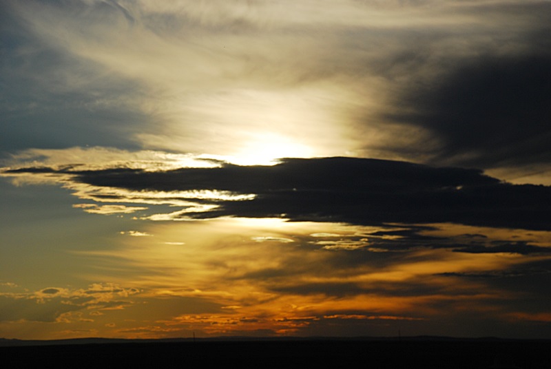 DSC_0445.JPG