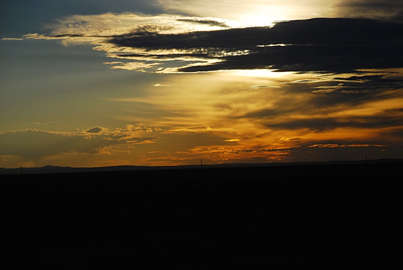 DSC_0446.JPG