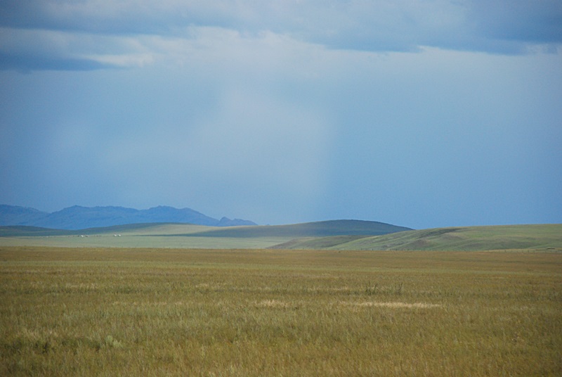 DSC_0411.JPG