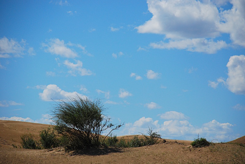 DSC_0369.JPG