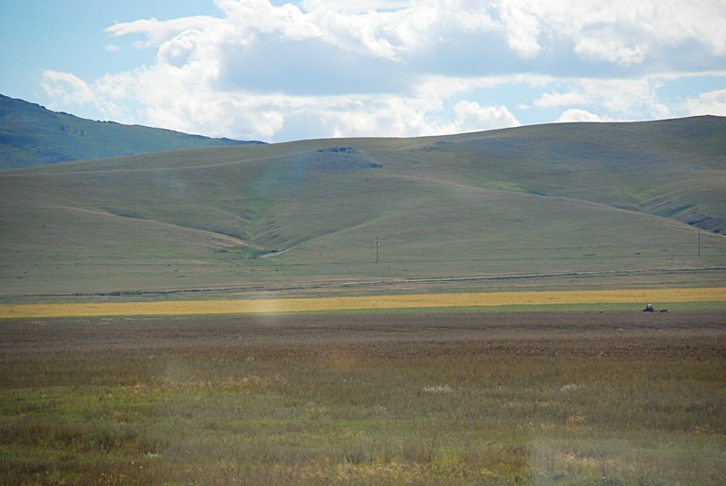 DSC_0410.JPG