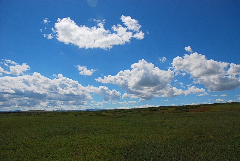 DSC_0344.JPG