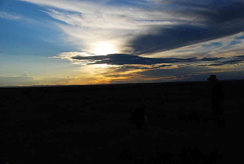 DSC_0447.JPG
