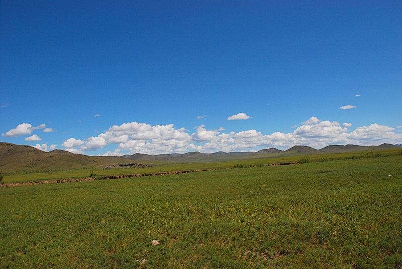 DSC_0343.JPG
