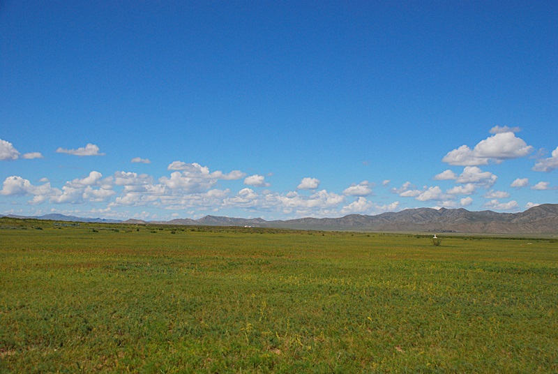 DSC_0342.JPG