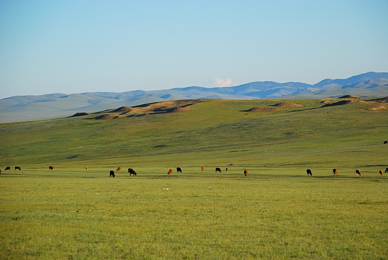 DSC_0226.JPG
