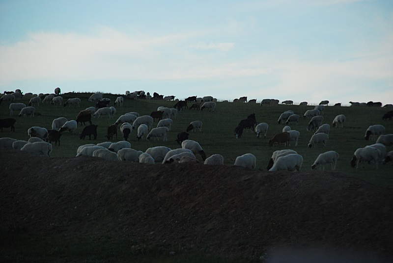 DSC_0430.JPG