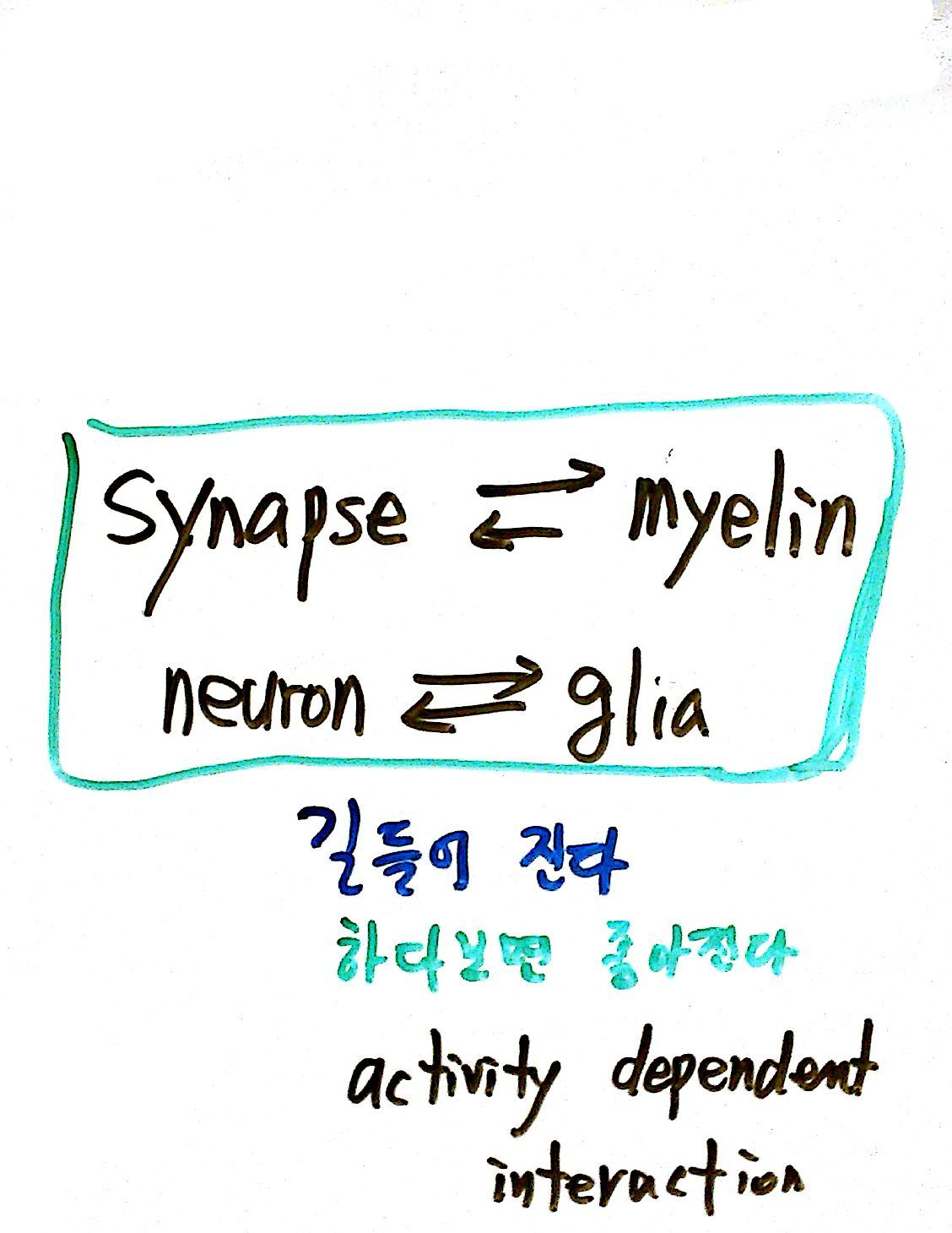칠판스캔_5특뇌_3강-15.png