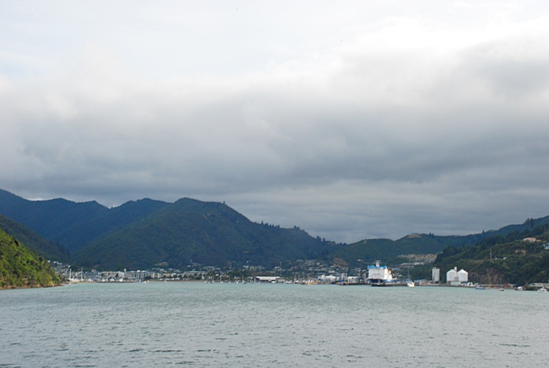 DSC_0456.JPG