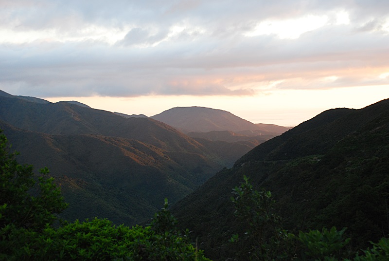 DSC_0229.JPG
