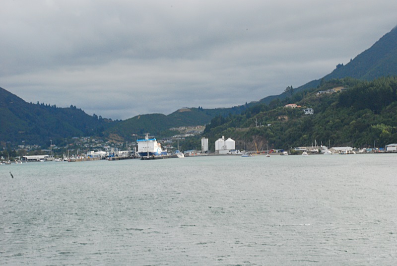 DSC_0461.JPG