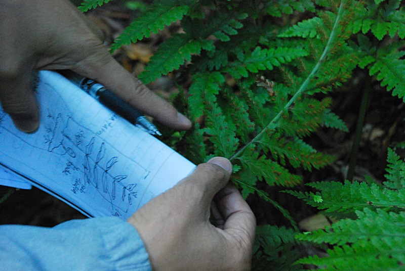 DSC_0329.JPG