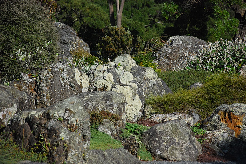 DSC_0357.JPG