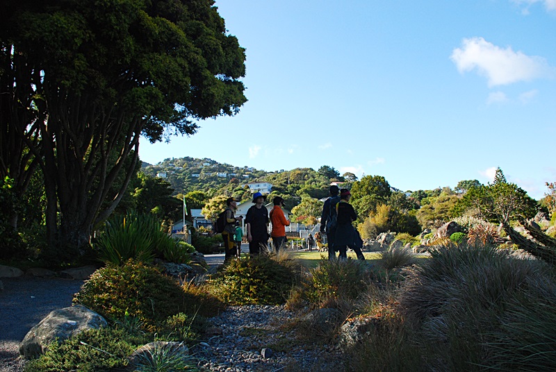 DSC_0353.JPG