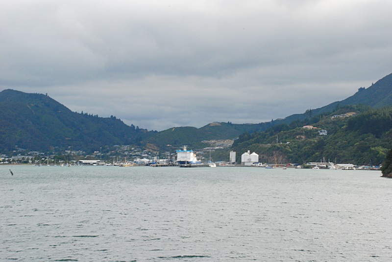 DSC_0455.JPG