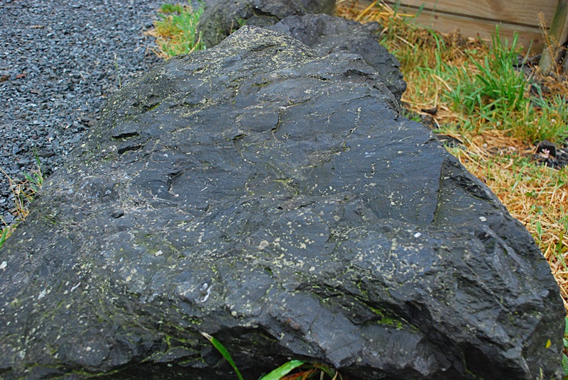 DSC_0255.JPG