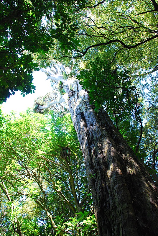 DSC_0393.JPG