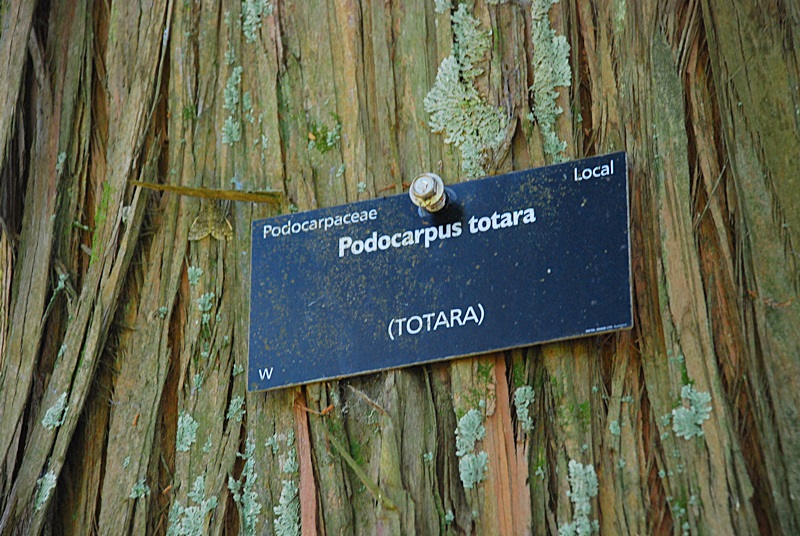 DSC_0443.JPG