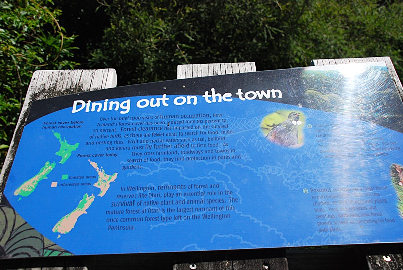 DSC_0435.JPG