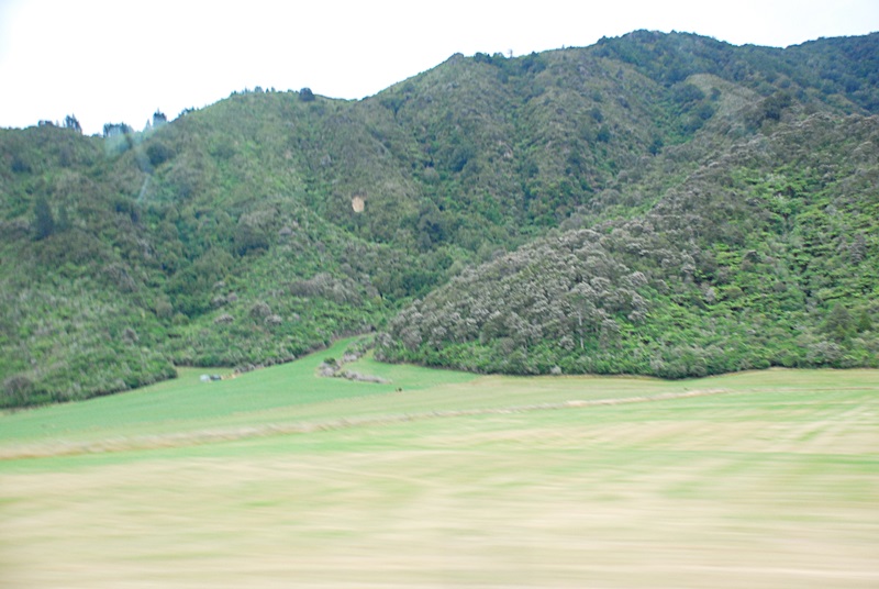 DSC_0478.JPG