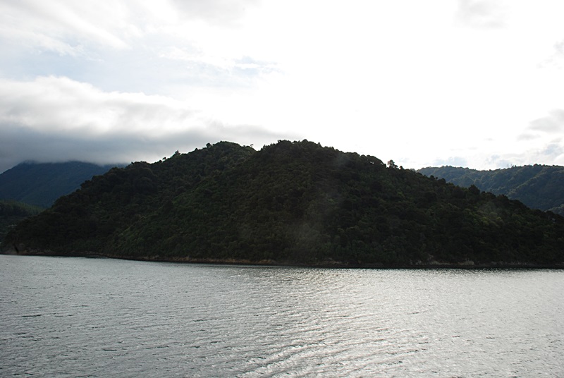 DSC_0458.JPG