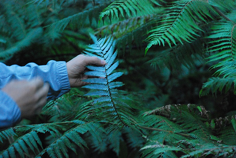 DSC_0314.JPG