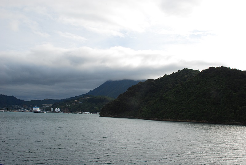 DSC_0457.JPG
