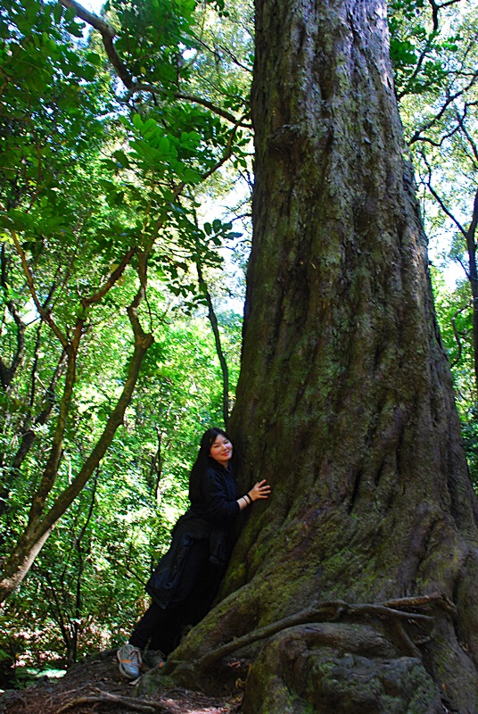 DSC_0400.JPG