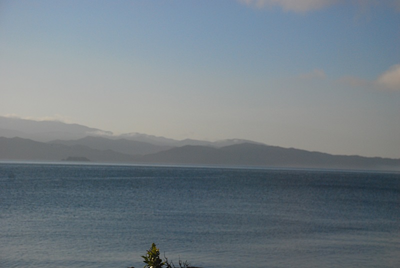DSC_0274.JPG