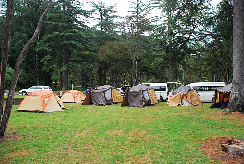 DSC_0482.JPG