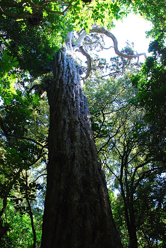 DSC_0402.JPG