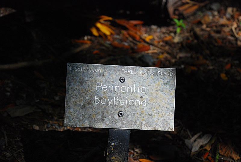 DSC_0369.JPG