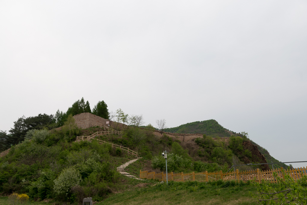 SEO_6160.jpg