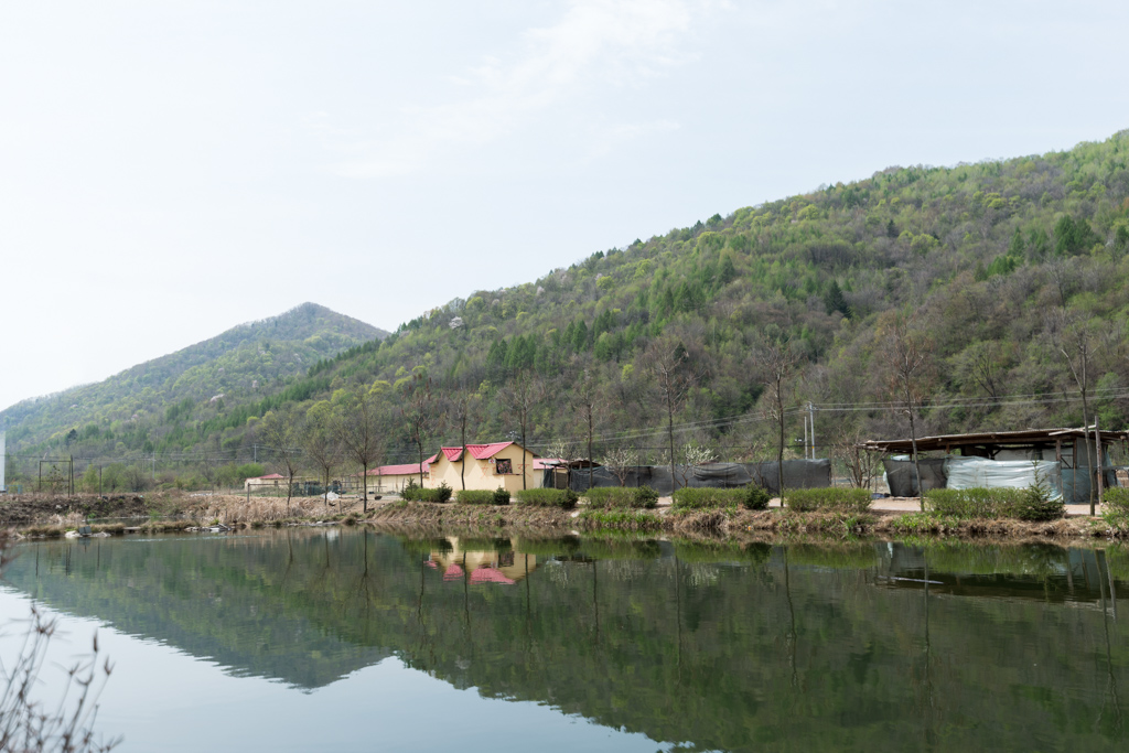 SEO_5908.jpg