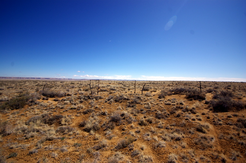 1-IMGP0197.JPG